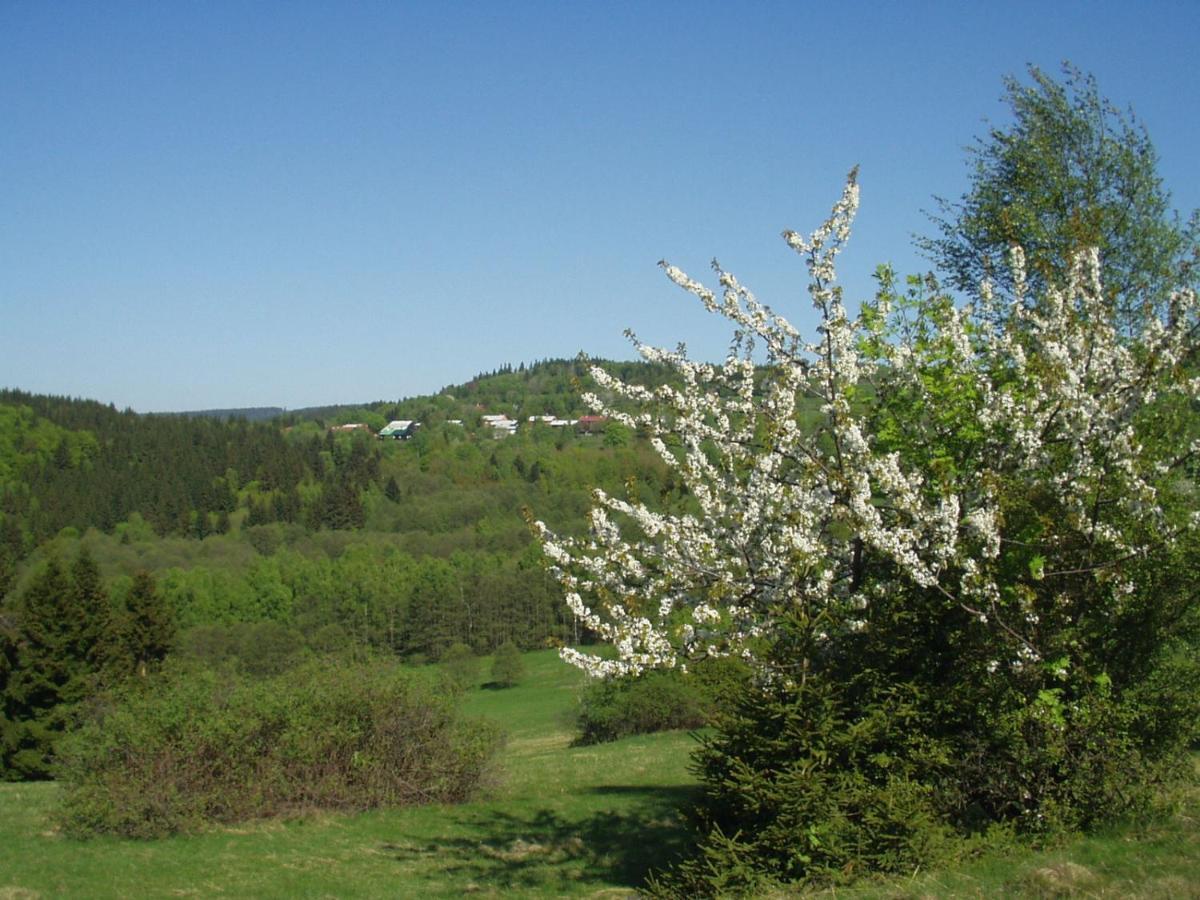 Mariánská Penzion Na Slunicku מראה חיצוני תמונה